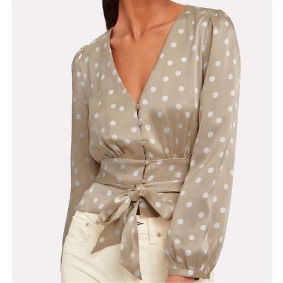 INTERMIX Tops - Intermix Blush flora Polka Dot top